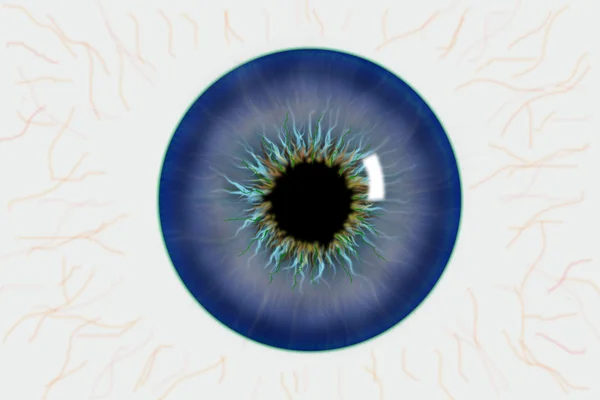 Illustrazione della pupilla dell'occhio — Foto Stock