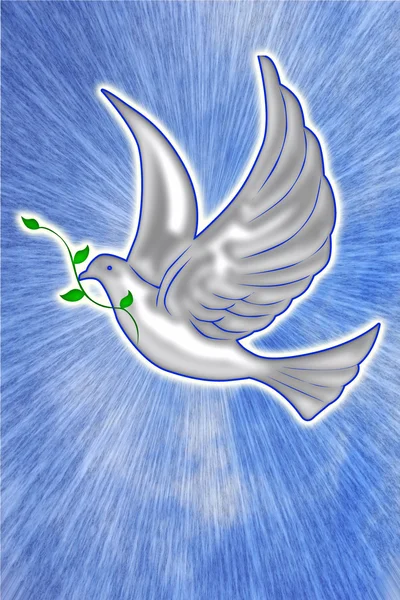 Bílá holubice ilustrace — Stock fotografie