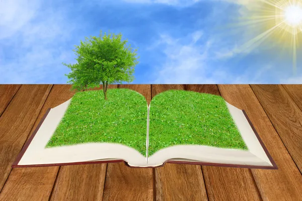 stock image Open book illustration of a tree