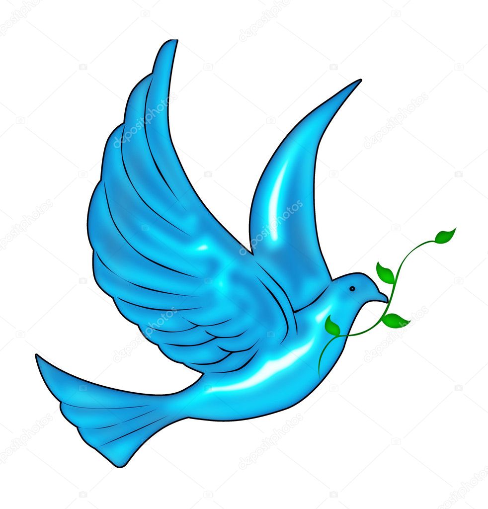 Paloma Aislado Imagenes Fotos De Stock Libres De Derechos Depositphotos