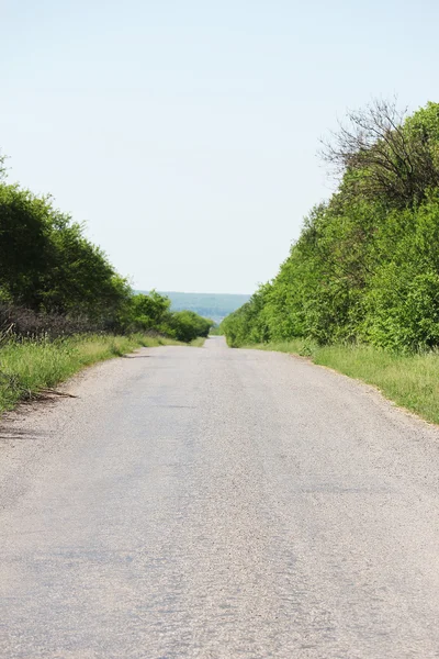 stock image The road