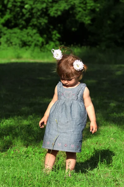 Красивая маленькая девочка на природе — стоковое фото