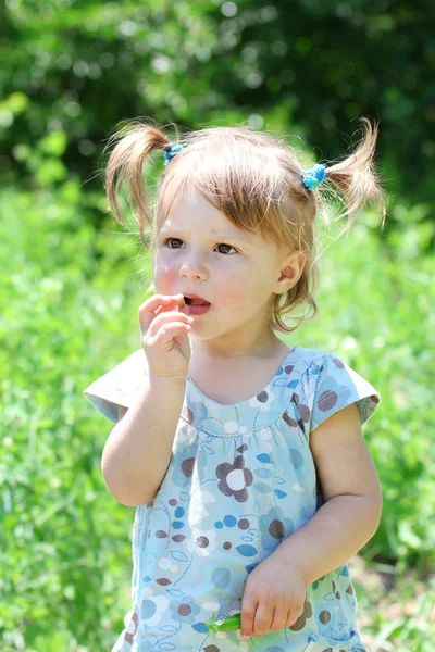 Una hermosa niña en la naturaleza — Foto de Stock