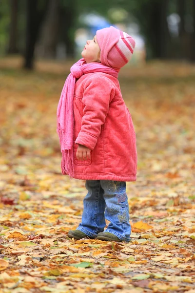 Красива маленька дівчинка в природі — стокове фото