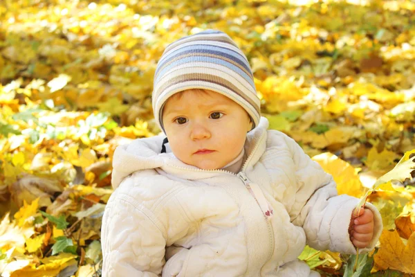 Ein schönes kleines Mädchen im Herbstpark — Stockfoto