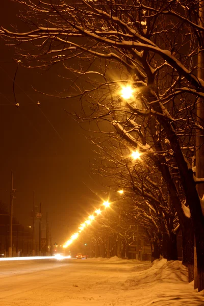 Bomen in de nacht — Stockfoto