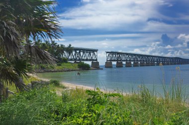 Rail bridge to key west clipart