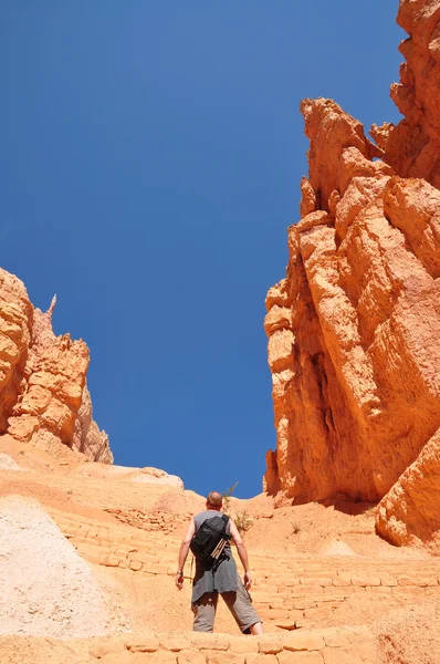 Χαράτσι σε bryce canyon — Φωτογραφία Αρχείου