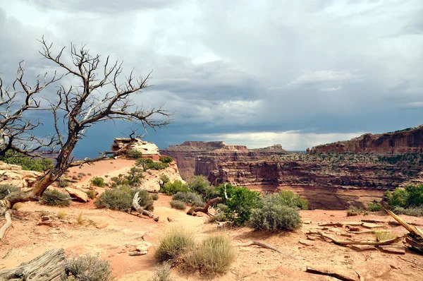 Canyonlands nationalpark — Stockfoto