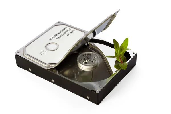 Green hard disk concept — Stock Photo, Image