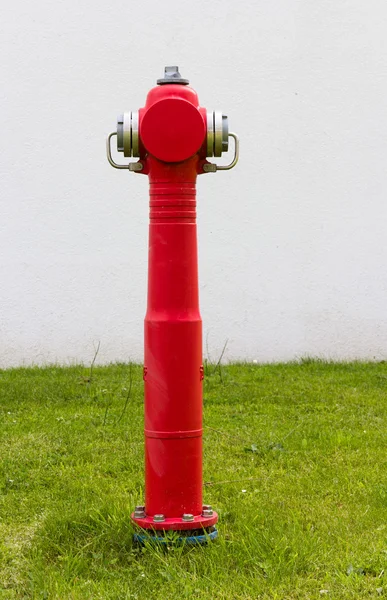 Стоящий красный пожарный гидрант — стоковое фото