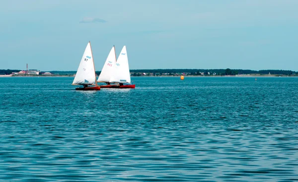 stock image Sailboats