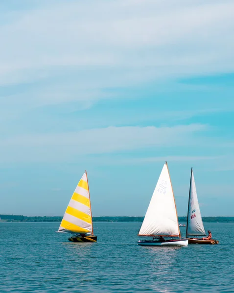 stock image Sailboats