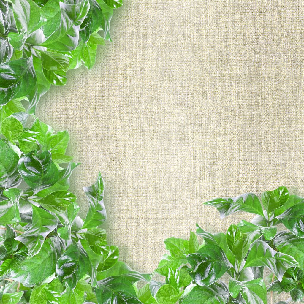 Green leaves border — Stock Photo © Filkus #11221939