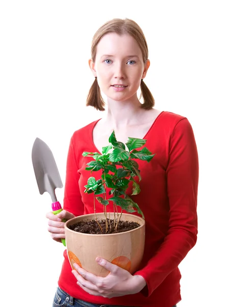 Woman with a plant — Stock Photo, Image