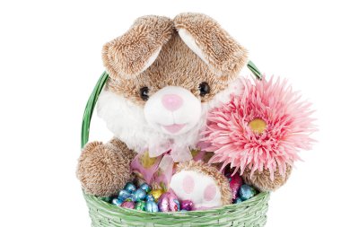 Bunny and chocolates inside a basket clipart