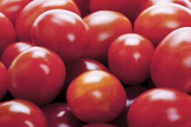 Cherry tomatoes clipart