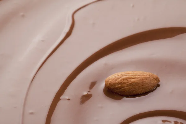 Almond on chocolate sauce — Stockfoto
