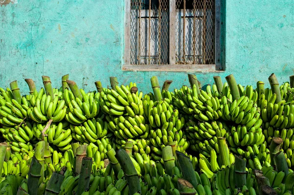 香蕉堆栈 — 图库照片