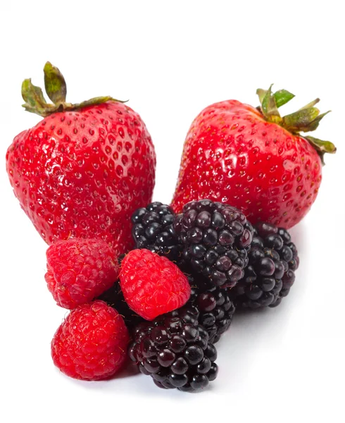 Berry karışık — Stok fotoğraf