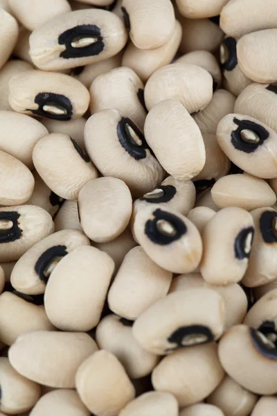 Black eyed beans — Stock Photo, Image