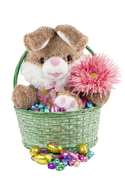 Bunny in green basket with chocolate candies — Stock Photo, Image