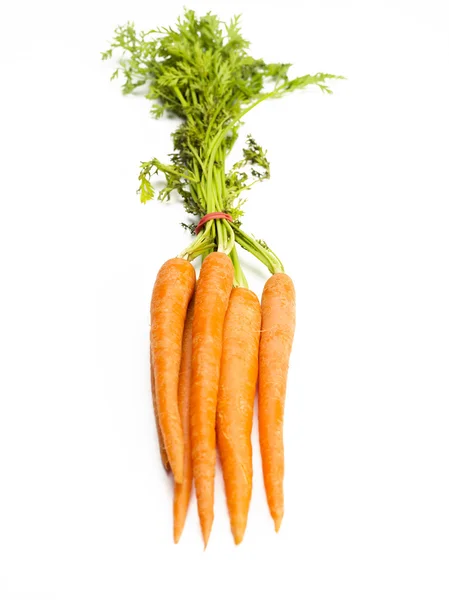 Karotten-Bündel — Stockfoto