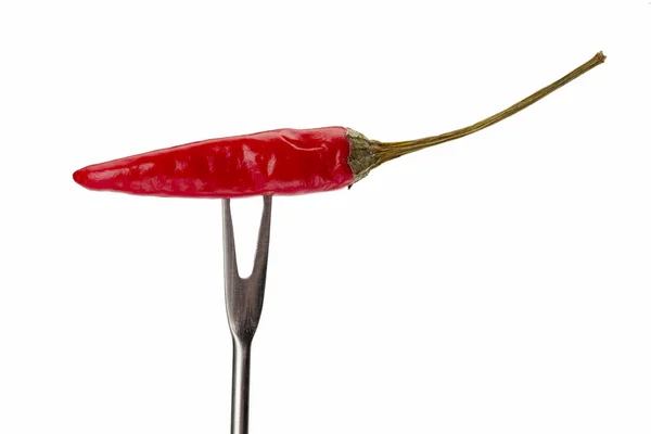 Chili on the fork — Stock Photo, Image