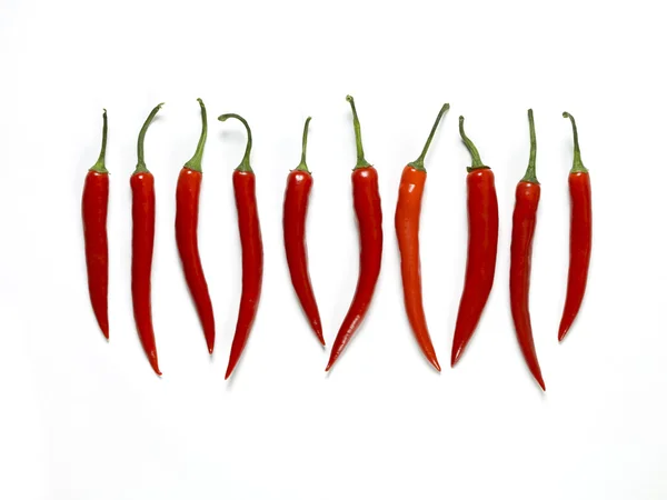 Chili line up — Stock Photo, Image