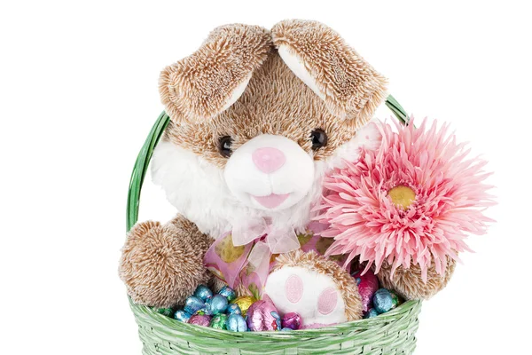 Stock image Bunny and chocolates inside a basket