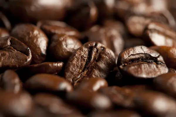 Fermer grains de café — Photo