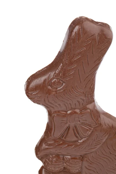 巧克力兔子 — 图库照片
