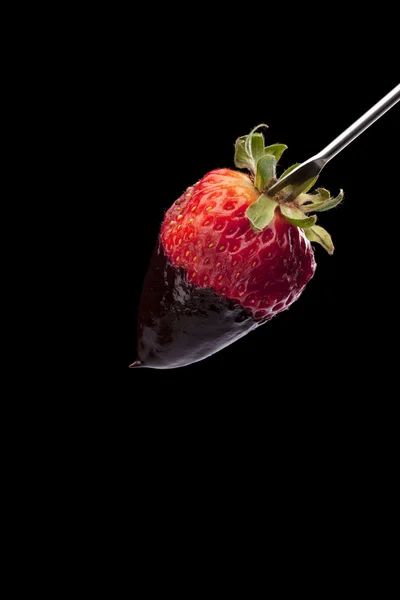 Chocolat trempé fraise sur bâton — Photo