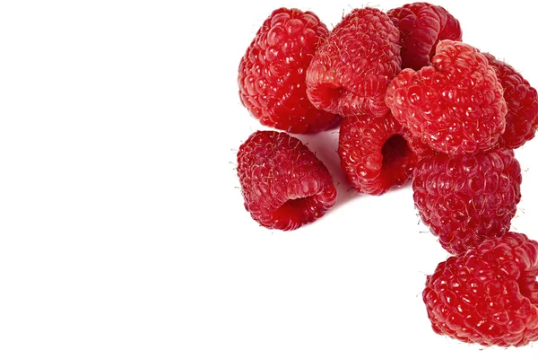 Group of raspberry fruit — Stock Photo, Image