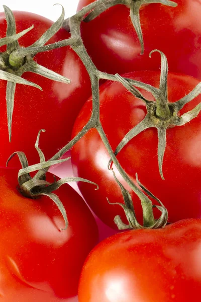Makro obrázek rajčat — Stock fotografie
