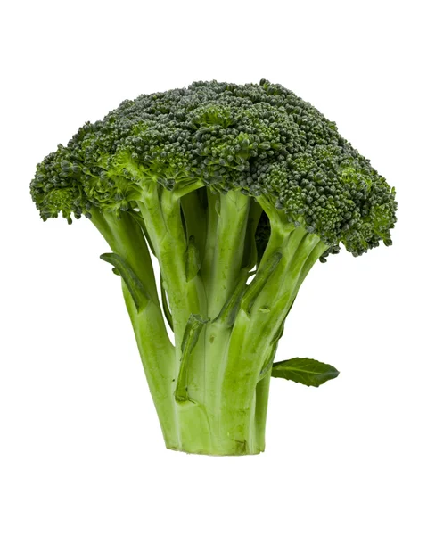 Jefe de brócoli — Foto de Stock