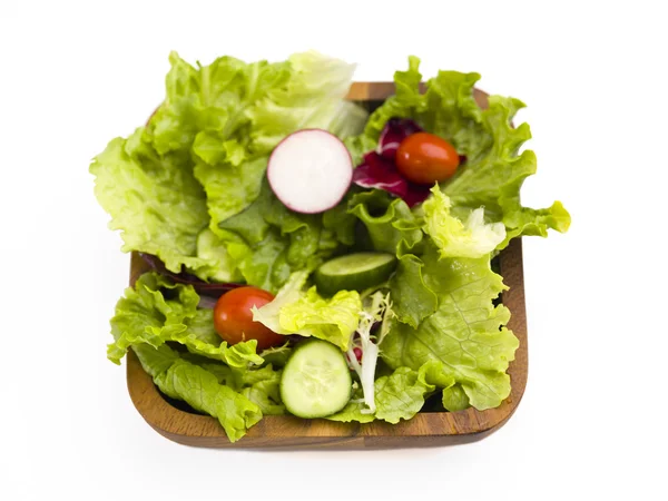 Tuin plantaardige salade — Stockfoto