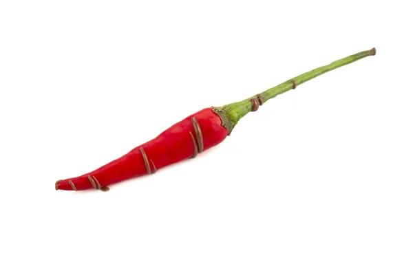 Rød varm kølig peber med chokolade - Stock-foto