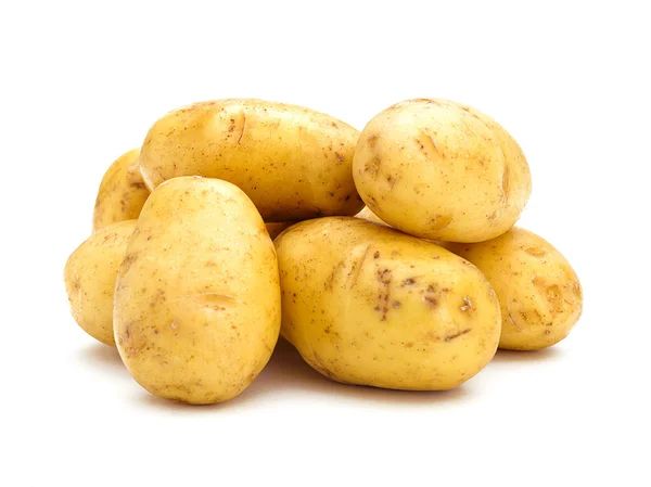 Aardappel bos — Stockfoto