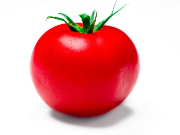 Einzelne Tomaten — Stockfoto