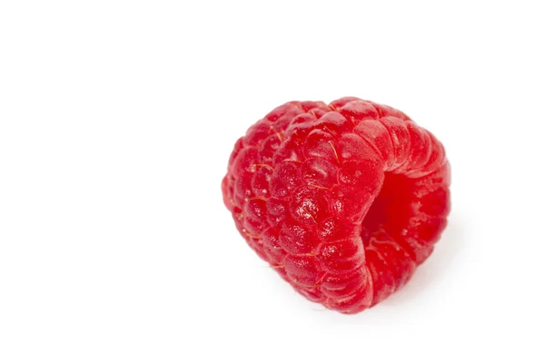 Single raspberry — Stock Photo, Image