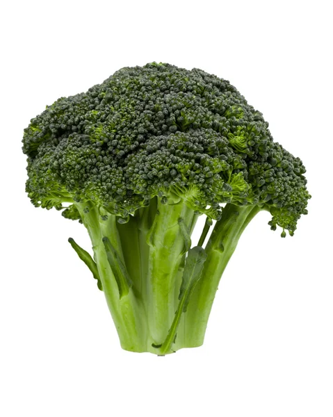 Cabeza pequeña de brócoli — Foto de Stock