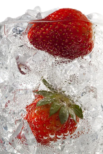Fresas en cubitos de hielo —  Fotos de Stock