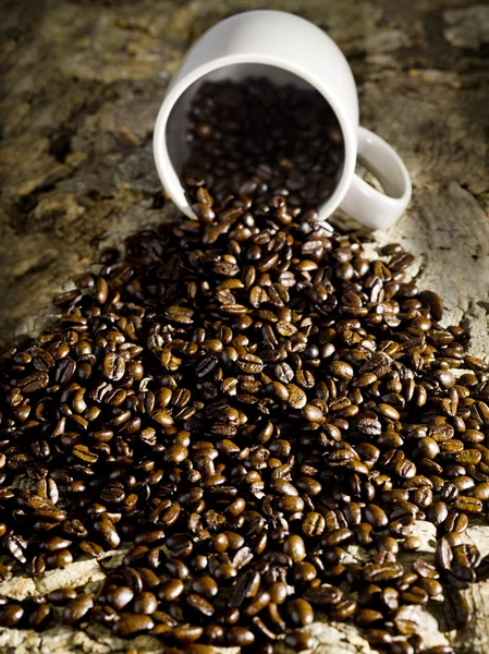 Cup of coffee bean spill — Stock Photo, Image