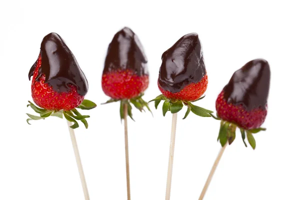 Four strawberries with melted chocolate — Stock Photo, Image
