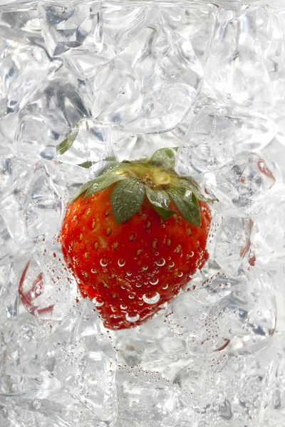 Image of strawberry on ice cubes — Stock Photo, Image