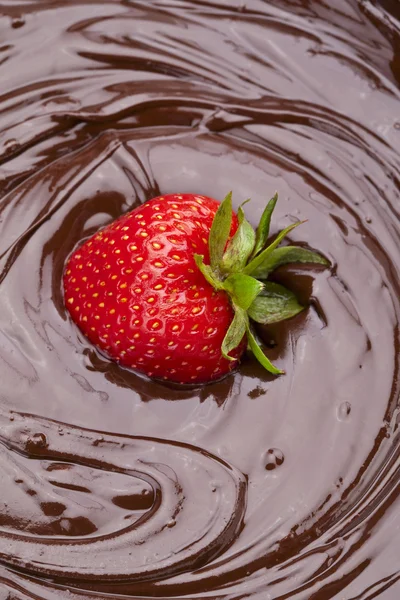 Erdbeere in Schokolade getaucht — Stockfoto