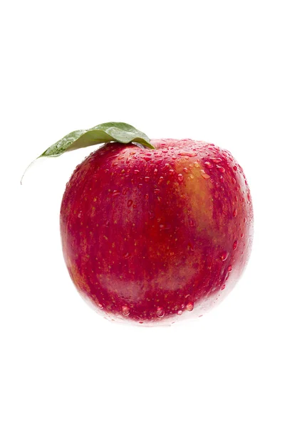 Tiro de maçã vermelha com gotas de água nele — Fotografia de Stock