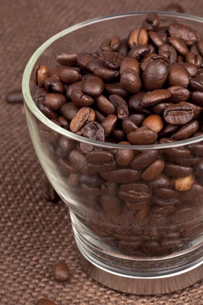 Kaffebönor i en glasbehållare — Stockfoto