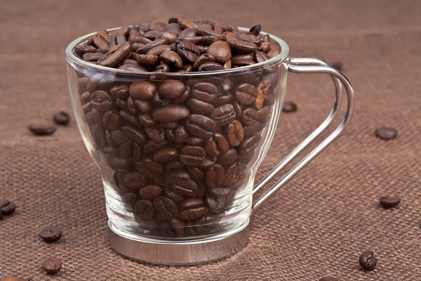 Coffee beans in a pitcher — Stock Photo, Image